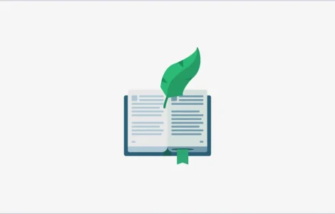 image-6881917b1fc71.png